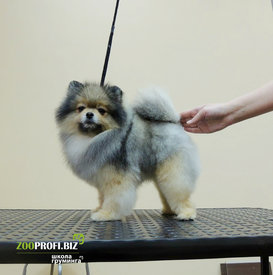 image.jpg (210.23 КБ, Просмотров: 3101) image.jpg