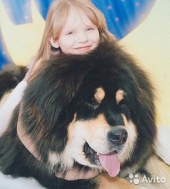 3262760239.jpg (50.95 КБ, Просмотров: 1238) 3262760239.jpg