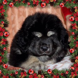 0FECB490-6ACA-44D4-95A7-E00476CCCDB6.jpg (267.1 КБ, Просмотров: 1238) 0FECB490-6ACA-44D4-95A7-E00476CCCDB6.jpg