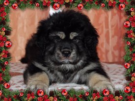 A06B245C-0986-4D6B-A772-3CA58612686A.jpg (162.25 КБ, Просмотров: 1238) A06B245C-0986-4D6B-A772-3CA58612686A.jpg