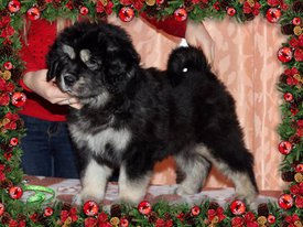 A236D951-ACA0-4864-A056-934BB82650C0.jpg (219.05 КБ, Просмотров: 1238) A236D951-ACA0-4864-A056-934BB82650C0.jpg