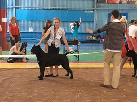 IMG-20160717-WA0006.jpg (149.5 КБ, Просмотров: 8614) IMG-20160717-WA0006.jpg