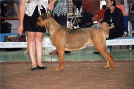 32aebd7e46b8.jpg (60.65 КБ, Просмотров: 8286) 32aebd7e46b8.jpg