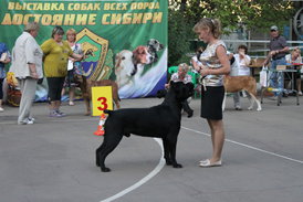 zd5ybAep.jpg (91.46 КБ, Просмотров: 8285) zd5ybAep.jpg