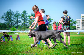 DSC_1081.jpg (590.31 КБ, Просмотров: 8286) DSC_1081.jpg