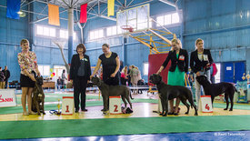 DSC_4277.jpg (366.66 КБ, Просмотров: 8288) DSC_4277.jpg