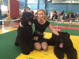 IMG-20160710-WA0021.jpg (151.97 КБ, Просмотров: 8267) IMG-20160710-WA0021.jpg