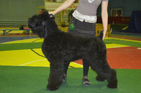 5XIrhX8l.jpg (37.09 КБ, Просмотров: 8286) 5XIrhX8l.jpg