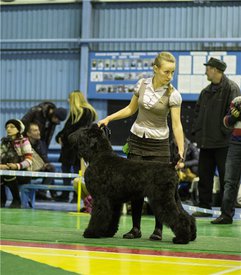 c9dd1933baae.jpg (286.09 КБ, Просмотров: 8282) c9dd1933baae.jpg