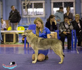 0ba652e4a90a.jpg (351.84 КБ, Просмотров: 8259) 0ba652e4a90a.jpg