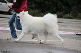 370699-4d623-71454424-m750x740-u50f3a.jpg (103.65 КБ, Просмотров: 8606) 370699-4d623-71454424-m750x740-u50f3a.jpg