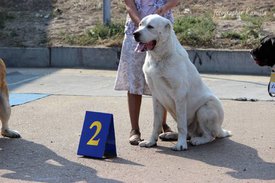 mFlWg.jpg (39.1 КБ, Просмотров: 8601) mFlWg.jpg