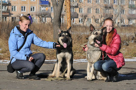 getIрпрапmage.jpeg (99.71 КБ, Просмотров: 8907) getIрпрапmage.jpeg