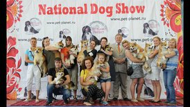 IMG-20160717-WA0003.jpg (167.21 КБ, Просмотров: 8273) IMG-20160717-WA0003.jpg