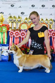 14390937_343037722708585_3279231333590151531_n.jpg (76.52 КБ, Просмотров: 8273) 14390937_343037722708585_3279231333590151531_n.jpg