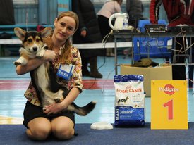 PUD_5109.jpg (560.49 КБ, Просмотров: 8600) PUD_5109.jpg