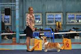 DSC_5686.jpg (516.82 КБ, Просмотров: 8595) DSC_5686.jpg