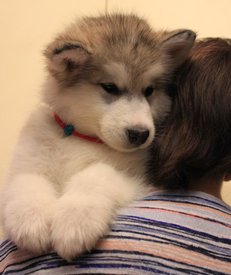 DICV1wyJyao.jpg (143.59 КБ, Просмотров: 1225) DICV1wyJyao.jpg