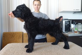 27e6521fcc99.jpg (159.07 КБ, Просмотров: 3321) 27e6521fcc99.jpg