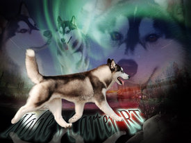 ZCpdjyD1.jpg (81.03 КБ, Просмотров: 10247) ZCpdjyD1.jpg