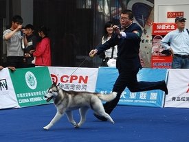 C38ZW4SP.jpg (90.11 КБ, Просмотров: 10631) C38ZW4SP.jpg