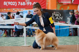 DSC_5732.jpg (647.75 КБ, Просмотров: 13208) DSC_5732.jpg