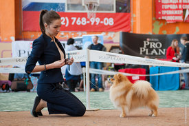 DSC_5740.jpg (662.74 КБ, Просмотров: 13897) DSC_5740.jpg