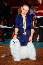 isrihqqW-p0.jpg (159.66 КБ, Просмотров: 13236) isrihqqW-p0.jpg