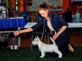 qiUa81ZnbTI.jpg (209.01 КБ, Просмотров: 13445) qiUa81ZnbTI.jpg