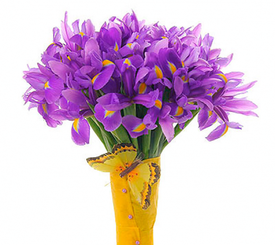 ирисы.png (182.02 КБ, Просмотров: 13160) ирисы.png