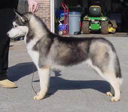 jjb2K8LW.jpg (9.5 КБ, Просмотров: 10061) jjb2K8LW.jpg