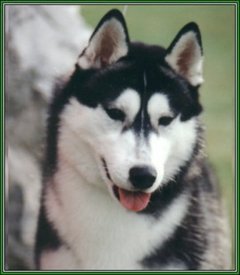 yVu0p63P.jpg (146.55 КБ, Просмотров: 10631) yVu0p63P.jpg