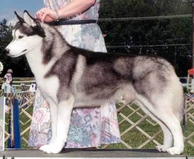 oZhWfWtL.jpg (26.84 КБ, Просмотров: 10243) oZhWfWtL.jpg