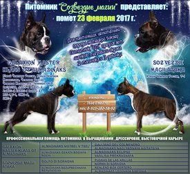 Кол.мал.Атака.jpg (402.71 КБ, Просмотров: 2162) Кол.мал.Атака.jpg