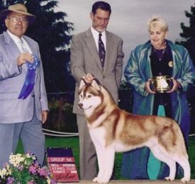 rxJQeKPe.jpg (23.34 КБ, Просмотров: 10246) rxJQeKPe.jpg