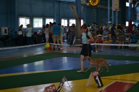 0.02.01.0c39d94bd935c642f7c75ce4678ad9a5bf1037aed0e83b41bbd1ab56848c167b_full.0.jpg (91.2 КБ, Просмотров: 14115) 0.02.01.0c39d94bd935c642f7c75ce4678ad9a5bf1037aed0e83b41bbd1ab56848c167b_full.0.jpg