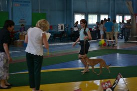 0.02.01.9cf3045865fd0f3ebf9f643eb2a0345b786b128315106181089cbbb081ddb8c5_full.0.jpg (89.21 КБ, Просмотров: 12637) 0.02.01.9cf3045865fd0f3ebf9f643eb2a0345b786b128315106181089cbbb081ddb8c5_full.0.jpg