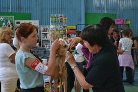 0.02.01.37f6c678c7ac0881384ccbebd014ec387e35503bb9221cab89fda5bd1b3b5a63_full.jpg (103.63 КБ, Просмотров: 14114) 0.02.01.37f6c678c7ac0881384ccbebd014ec387e35503bb9221cab89fda5bd1b3b5a63_full.jpg