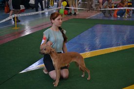 0.02.01.673c0520ccd48a1d88292bdae96ddf2c0f446028f831742ad80628f7d813ac36_full.0.jpg (106.78 КБ, Просмотров: 12625) 0.02.01.673c0520ccd48a1d88292bdae96ddf2c0f446028f831742ad80628f7d813ac36_full.0.jpg