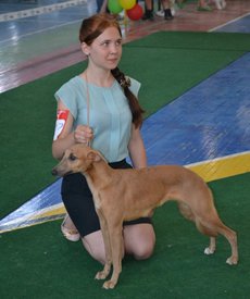 0.02.01.b6d15edd969e49ef76a9935877b119e4bcce7d8cbf331c6a72faf63d1c067a08_full.jpg (170 КБ, Просмотров: 12629) 0.02.01.b6d15edd969e49ef76a9935877b119e4bcce7d8cbf331c6a72faf63d1c067a08_full.jpg