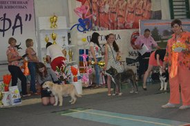 0-02-01-f5fdc59b3defa26f8f2fae5716e3c50d47657c43a2ab78d52271de05a143bef6_full.jpg (129.4 КБ, Просмотров: 12607) 0-02-01-f5fdc59b3defa26f8f2fae5716e3c50d47657c43a2ab78d52271de05a143bef6_full.jpg