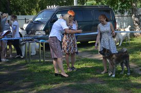 0-02-01-6f79f8f87fb75baa03124af84d2cd5e53bc5d090df05c06cf6af7f2c2c3abfa1_full.jpg (208.98 КБ, Просмотров: 12273) 0-02-01-6f79f8f87fb75baa03124af84d2cd5e53bc5d090df05c06cf6af7f2c2c3abfa1_full.jpg