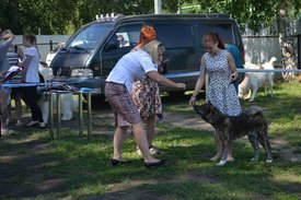 0-02-01-bded2b0a4b49c18417ceeb2bd47fbfca5bf73d697a72d56ca701d9819610c356_full.jpg (210.79 КБ, Просмотров: 12978) 0-02-01-bded2b0a4b49c18417ceeb2bd47fbfca5bf73d697a72d56ca701d9819610c356_full.jpg