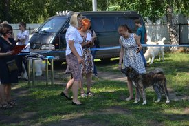 0-02-01-bd995550ac4cb41516267eb8116fd531a4ffef4fab28f910bd8d23284779998d_full.jpg (214.48 КБ, Просмотров: 12603) 0-02-01-bd995550ac4cb41516267eb8116fd531a4ffef4fab28f910bd8d23284779998d_full.jpg