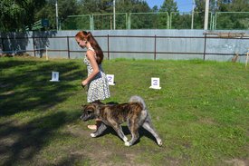 0-02-01-bae2bb7a874ffc678bf748fbff09bfafd688a75b19c2c0c7b5852acad8b5ebad_full.jpg (228.31 КБ, Просмотров: 12274) 0-02-01-bae2bb7a874ffc678bf748fbff09bfafd688a75b19c2c0c7b5852acad8b5ebad_full.jpg