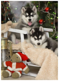 1HDgEzNJ.jpg (250.1 КБ, Просмотров: 10240) 1HDgEzNJ.jpg