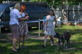 0-02-01-56914cf4420a7acfc612b12410760a287e3358f86ad7cb6a6d10649d90d03f87_full.jpg (184.48 КБ, Просмотров: 12273) 0-02-01-56914cf4420a7acfc612b12410760a287e3358f86ad7cb6a6d10649d90d03f87_full.jpg