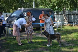 0-02-01-30888d0a13b9f9351d95253de52b634dd384416077c0a58686e32db61c7ef0d0_full.jpg (219.05 КБ, Просмотров: 12574) 0-02-01-30888d0a13b9f9351d95253de52b634dd384416077c0a58686e32db61c7ef0d0_full.jpg