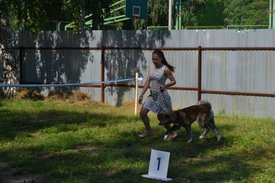 0-02-01-b6789f35514251ffd2ffceccb8f791fa0cc3aa355262572232e2380c01fed05f_full.jpg (183.24 КБ, Просмотров: 12497) 0-02-01-b6789f35514251ffd2ffceccb8f791fa0cc3aa355262572232e2380c01fed05f_full.jpg