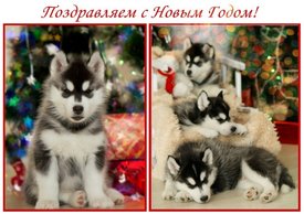 1HDgEzOC.jpg (68.1 КБ, Просмотров: 10078) 1HDgEzOC.jpg